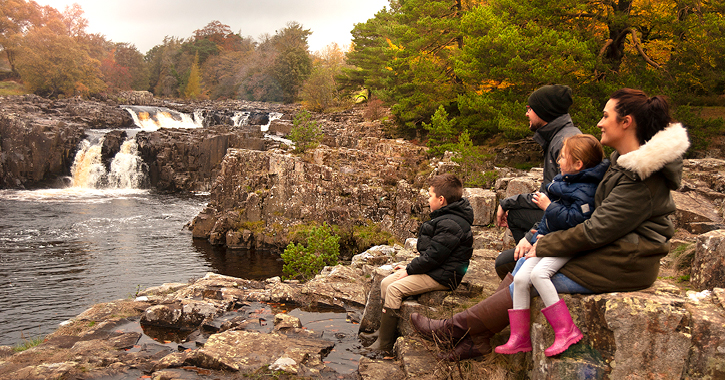 family overlooking low force waterfall